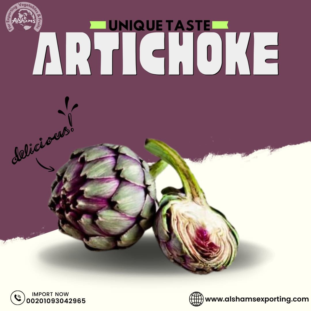 Fresh Artichoke