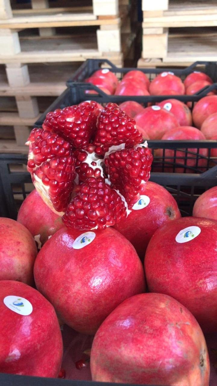 Fresh Pomegranate