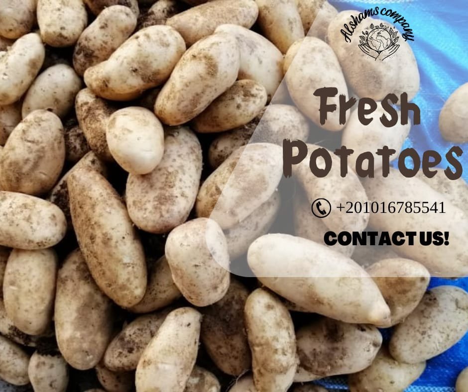 Fresh Potatoes