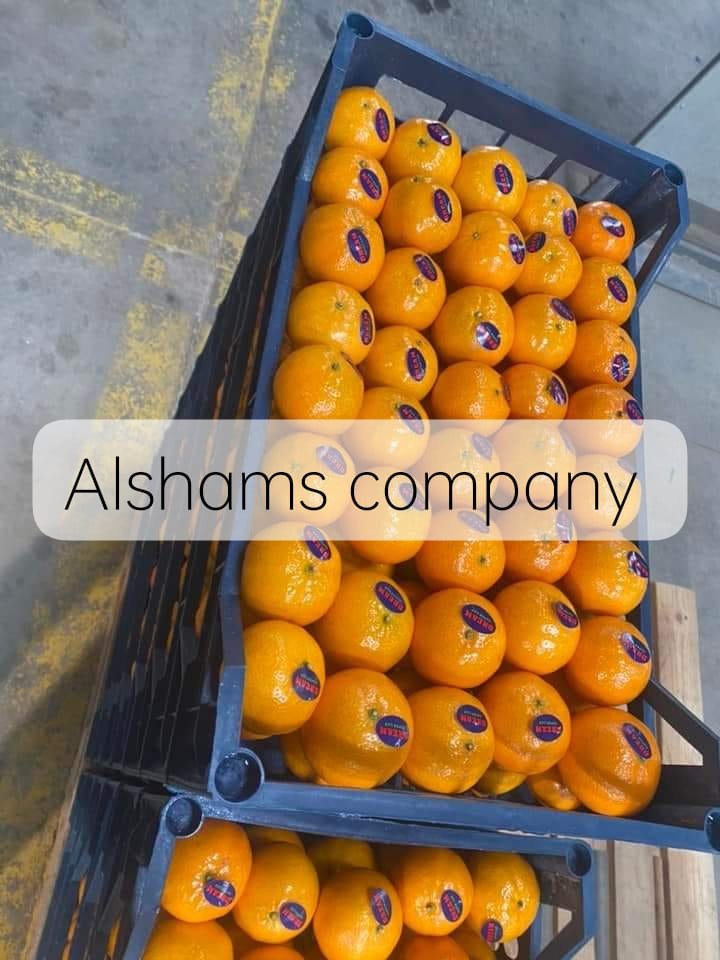 Tangerine ( Marquette )