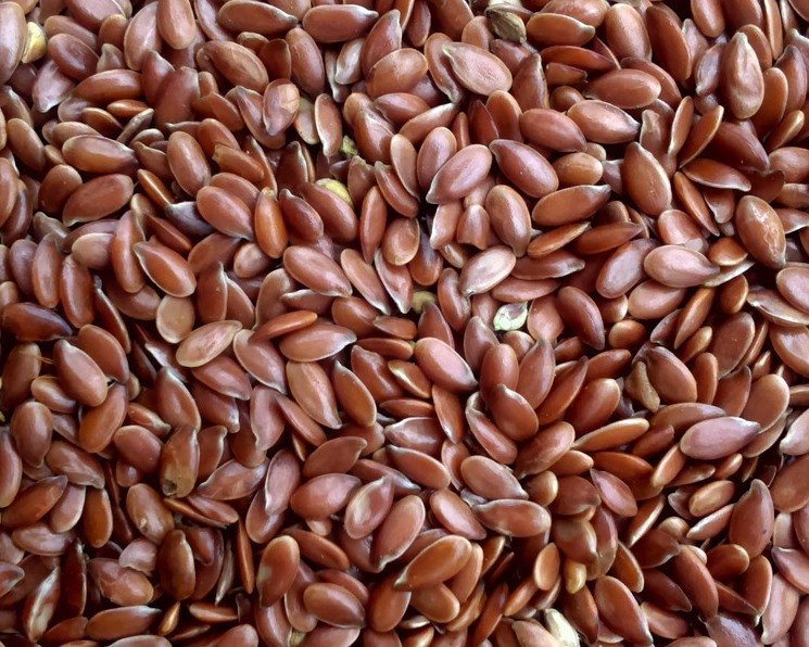 Brown Oilseed flax for export